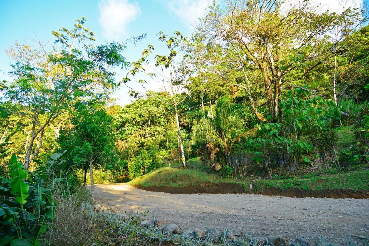 Aves De Tierras Altas Villa Bijagua Exterior foto