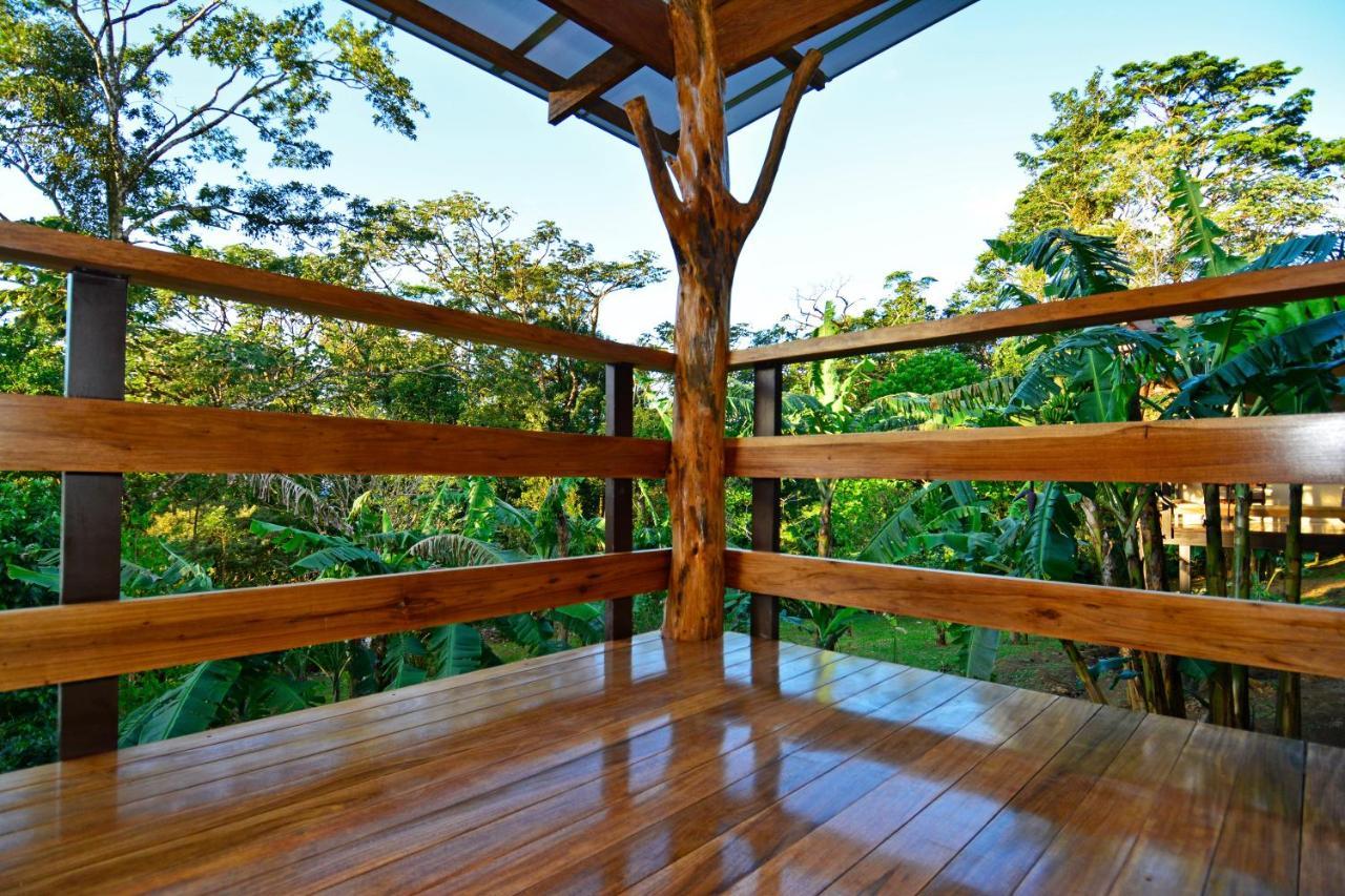 Aves De Tierras Altas Villa Bijagua Exterior foto